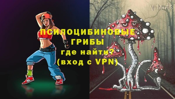 мдпв Арсеньев