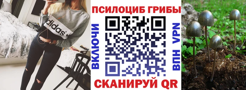 Псилоцибиновые грибы мицелий  Ряжск 
