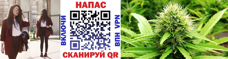 ссылка на мегу маркетплейс Ряжск Бошки Шишки OG Kush